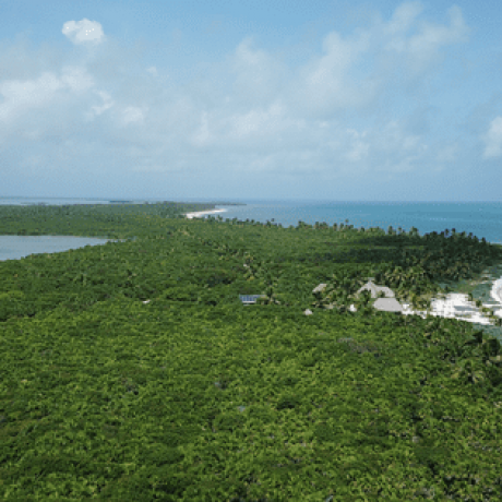 25 lugares increíbles que tienen recorridos virtuales que puedes visitar