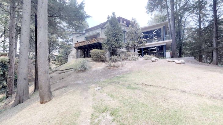 blog Bosques-6060-07112018_110204